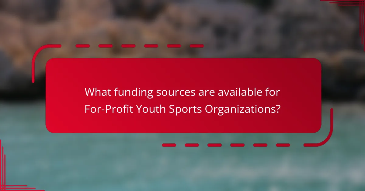 What funding sources are available for For-Profit Youth Sports Organizations?