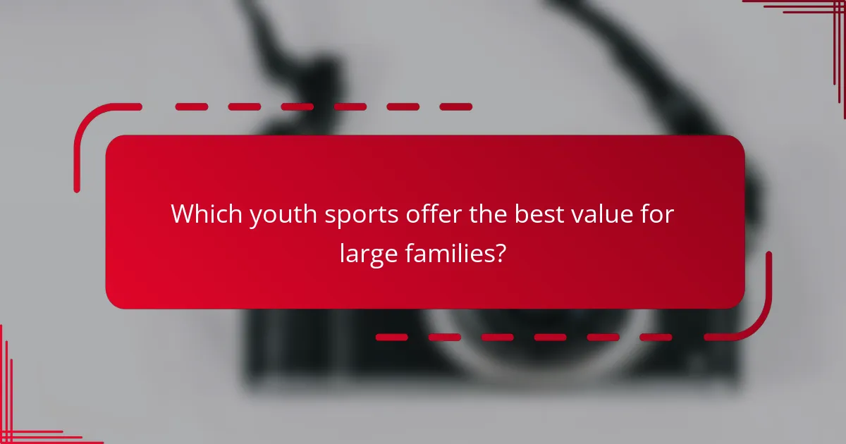 Which youth sports offer the best value for large families?